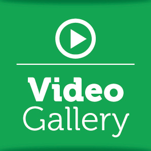 video-gallery